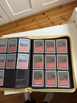 Magic the Gathering - HUGE UNLIMITED Basic Land Collection 316 Cards-MTG Part 1 - Image 2