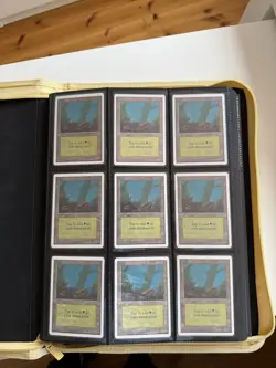 Magic the Gathering - HUGE UNLIMITED Basic Land Collection 316 Cards-MTG Part 1 - Image 3