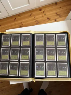 Magic the Gathering - HUGE UNLIMITED Basic Land Collection 316 Cards-MTG Part 1 - Image 5