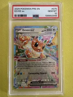 Pokemon PSA 10 Eevee ex 075/131 - Image 1