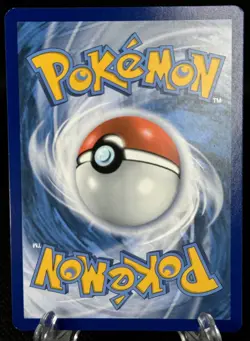 2022 Pokemon TCG Oshawott #SWSH222 Black Star Promo Holo - Rare - Image 4