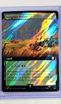 MTG Magic The Gathering PIP Fallout Surge Foil Borderless #1041 Sungrass Prairie - Image 1