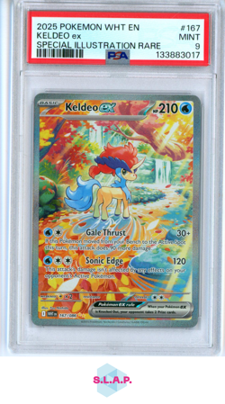 KELDEO EX POKEMON 167 2025 WEISSE FLAMMEN MINT ENGLISCH PSA 9 - Image 1