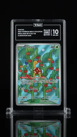 TAG 10 Shuckle 136/132 - Pokemon Mega Evolution - Illustration Rare - Image 1