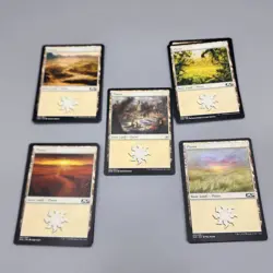 Magic the Gathering MTG (100) Card Lot of Basic Land Cards M20 Set - Image 3