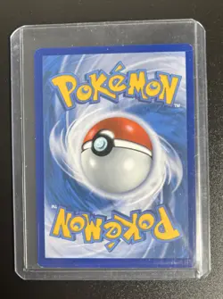 Cyndaquil SWSH221 SWSH: Sword & Shield Promo Cards Holo - Image 2