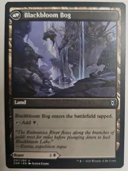 MTG Magic The Gathering Card Blackbloom Rogue / Blackbloom Bog Land ZNR 2020 - Image 2