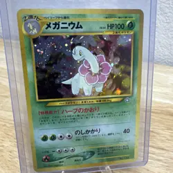 Japanese Meganium No. 154 Neo Premium File - Holo Pokemon Card - NM - Image 2