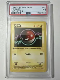 Pokemon PSA 7 1st Edition Voltorb 067/102 Base Set (Shadowless) - Image 1