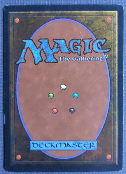 MTG Adarkar Wastes | Ice Age | LP | Rare Dual Land | Pain Land | Old Border | - Image 4