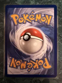 Pokemon First Partner Illustration Rare Collection Series 1 Promo Set 9 Card LOT - Image 4