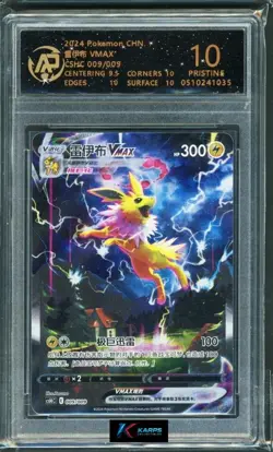 Pokemon RPA 10 Jolteon VMAX #009/009 CSHC 2024 Chinese - Image 1