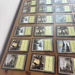 MtG Tempest Forest Land Set of 32 Magic the Gathering - Image 4