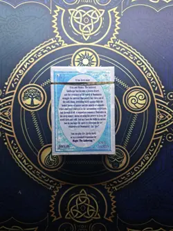 Wizards of the Coast Magic: The Gathering Ice Age Starter Deck 792491047595 - Image 2