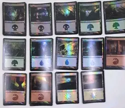 MTG FOIL Time Spiral Basic Lands (31) NM English Magic The Gathering Lot Of 31 - Image 2