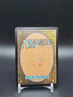 City of Ass LP Unhinged MTG - Image 2