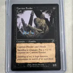 Wizards Scourge Carrion Feeder Common Black Creature Regular English 59 MTG - Image 1