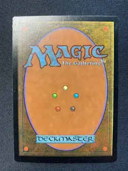 Argothian Enchantress - Urza's Saga – NearMint – MTG - Image 2