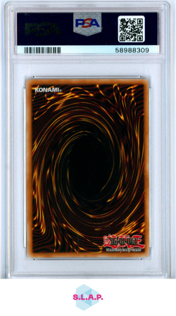 BLUE-EYES WHITE DRGN. DARK LEGENDS YU-GI-OH! DARK LEGENDS 2008 EN002 PSA 9 - Image 2