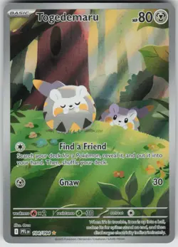 Pokemon Togedemaru Illustration Rare ME02: Phantasmal Flames 104/094 NM - Image 1
