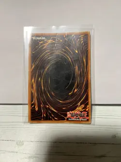 Yu-Gi-Oh Dark Paladin DMG-001 Secret Rare Limited Edition Holo Card (See Pics) - Image 3