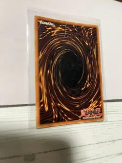Yu-Gi-Oh Dark Paladin DMG-001 Secret Rare Limited Edition Holo Card (See Pics) - Image 4