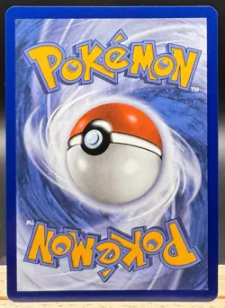 Black Belt Training 255/217 Ultra Rare Ascended Heroes Pokemon TCG NM - Image 2