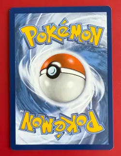 🌊 Pokemon TCG – Squirtle SWSH233 – SWSH Black Star Promo – Cosmos Holo NM - Image 2