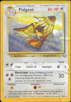 Pokemon TCG Pidgeot Jungle 8/64 Unlimited Holo Rare - Image 1
