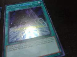 * 3x - Duelist Alliance - MACR-EN063 - Secret Rare - LP - Image 2