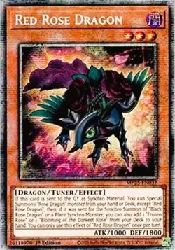 Yugioh MP25-EN037 Red Rose Dragon Starlight Rare MINT - Image 1