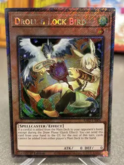 Yugioh! Droll & Lock Bird (Alternate Art) - RA02-EN006 - Quarter Century Secret - Image 1