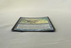 Oboro Breezecaller x1 *FOIL* MTG Saviors of Kamigawa 1x Magic Excellent EX LP - Image 2