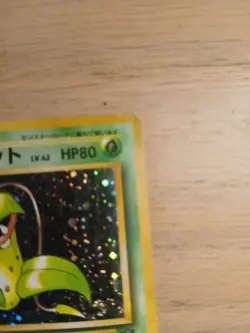 Pokemon Victreebel Pokemon Jungle Holo No. 071 Vintage Japanese Pokemon Card - Image 3