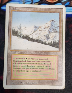 Taiga - DMG / HP - Revised Edition - MTG Magic The Gathering Dual Land - Image 1
