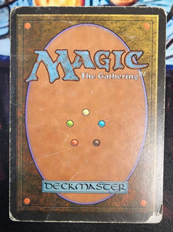 Taiga - DMG / HP - Revised Edition - MTG Magic The Gathering Dual Land - Image 2