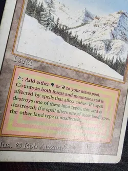 Taiga - DMG / HP - Revised Edition - MTG Magic The Gathering Dual Land - Image 4