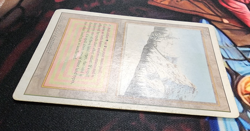 Taiga - DMG / HP - Revised Edition - MTG Magic The Gathering Dual Land - Image 5