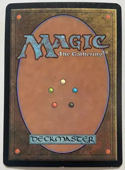 Magic The Gathering MTG FOREST 2001 Arena Promo Beta Art Card! - Image 2