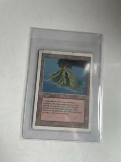 MTG Volcanic Island - Dual Land - Revised LP - Magic the Gathering authenticated - Image 1