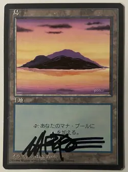 Magic The Gathering MTG Japanese ISLAND A Signed Mark Poole - Image 1