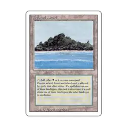 WOTC MtG 3rd Ed Tropical Island (R) EX - Image 1