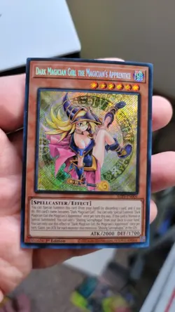Yu-Gi-Oh Dark Magician Girl the Magician's Apprentice ALIN-EN004 1st Ed Holo Ef… - Image 1
