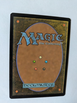 Gilt-Leaf Archdruid Morniningide MTG NM Free shipping with tracking - Image 2