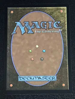 MTG Foundations Forest Full Art Foil 0290 NM - Image 2