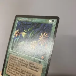 Mtg Atq Argos Pixie English Version Set Of 4 - Image 2
