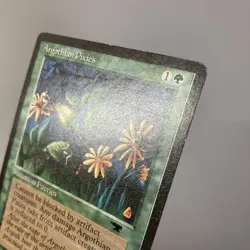 Mtg Atq Argos Pixie English Version Set Of 4 - Image 4