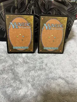 Mtg Delay Shield Foil - Image 2