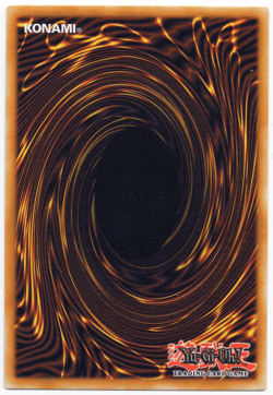 Rage Rose Witch DOOD-EN040 Ultra Rare NM Yu-Gi-Oh! TCG #2 - Image 2