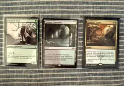 magic the gathering 12 card lot, assassin's trophy/verdant catacombs, unfinity.. - Image 1